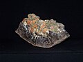 Sferosyderyt – przykład skały węglanowej,konkrecyjnej
