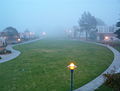 Fog in Monterey. View from one of the residence halls at CSUMB.