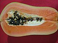 Caricae papayae cultivarietatis 'Californiae' fructus.
