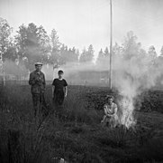 燻煙法、1956年フィンランドのジャガイモ畑にて