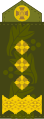 Ukraina kindralpolkovniku pagun (2016-2020).