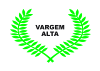 Flag of Vargem Alta