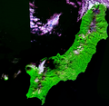 Paramuširo palydovinė nuotrauka