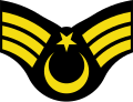 Kara Kuvvetleri Komutanlığı ve Jandarma Genel Komutanlığı Astsubay Kıdemli Çavuş Rütbesi