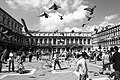 Piazza San Marco and its famous pigeons.