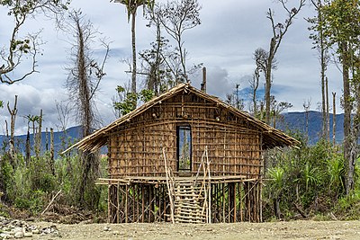 Rumah adat suku Arfak yang disebut Rumah Kaki Seribu atau Mod Aki Aksa (Igkojei). Suku Arfak merupakan salah satu suku yang berada di Provinsi Papua Barat, Indonesia