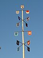 Maibaum mit den Wappen der Vereine