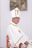 Chân dung Emmanuel Nguyễn Hồng Sơn.