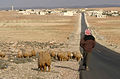12.3 - 18.3: In nurser sper Palmyra en la Siria, l'onn 2008.