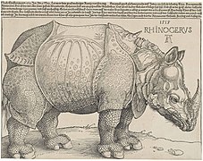 El rinoceronte (1515), de Alberto Durero, British Museum, Londres