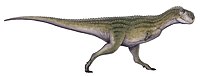 Chenanisaurus