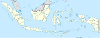 KNO/WIMM di Indonesia