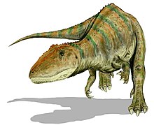 Däsinot ela Carcharodontosaurus saharicus.