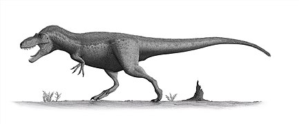 דספלטוזאורוס, ממשפחת הטירנוזאוריים