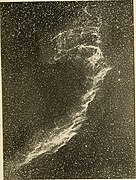 Image de George Willis Ritchey de ce qu'il appelait la Grande Nébuleuse du Cygne (dans les temps modernes, la Nébuleuse du Voile) ; prise avec le télescope réflecteur de deux pieds avec une exposition de 3 heures à l'Observatoire Yerkes en 1901.