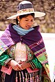 Image 29An Indigenous woman in traditional dress near Cochabamba, Bolivia (from Indigenous peoples of the Americas)