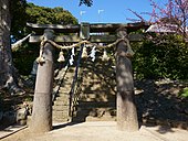 The hizen torii (肥前鳥居) has a rounded kasagi and thick flared pillars.