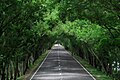 Barisal-Patuakhali Highway