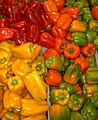 A variety of colored bell peppers