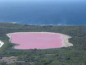 Језеро Хилиер, Аустралија, боја је узрокована алгама
