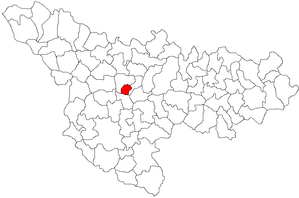 Localização do município Timișoara no distrito de Timiș