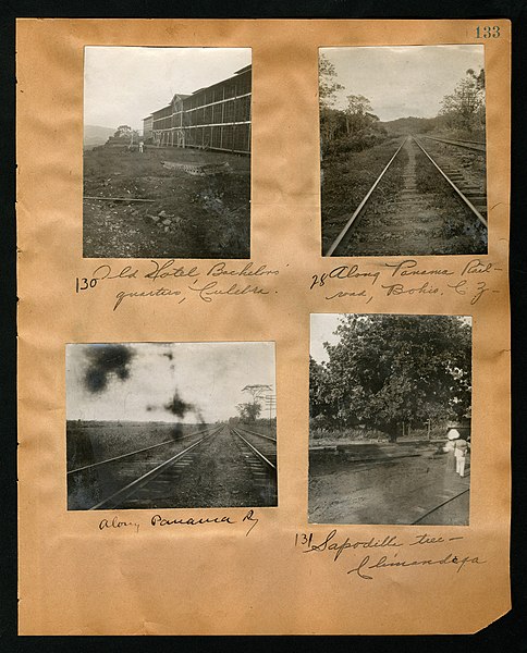 File:Chase album, 1898, 1903, and undated (Page 133) BHL46399568.jpg