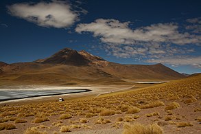 Seen in den Hochebenen der Anden, wie die Laguna Miscanti, sind beliebte Aus­flugsziele für zehn­tau­sende Touristen jährlich.