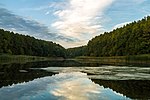 Чорноліський ландшафтний заказник © PHOTOROMIO, CC-BY-SA-4.0