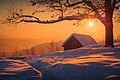 7. Téli reggel a Kárpáti Nemzeti Parkban (Ivano-frankivszki terület, Ukrajna) (javítás)/(csere)