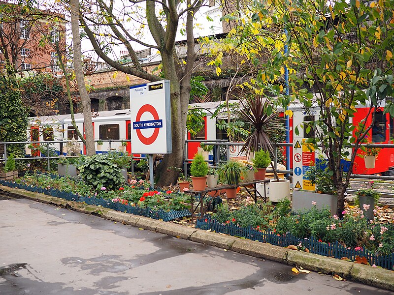 File:Garden at South Kensington tube station in November 2015.jpg