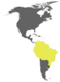 Português: Da mata English: Greater Yellow-headed Vulture