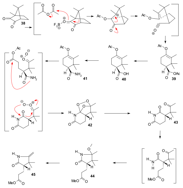ビタミンB12の環Cの合成