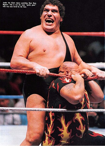 File:André the Giant and Bam Bam Bigelow, circa 1988.jpg