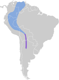 Distribución geográfica del fiofío plomizo.