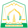 Lambang resmi Kabupaten Aceh Timur