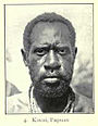 Kiwai man, Papuan type