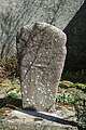 statue-menhir du Puech de Naudène