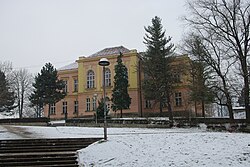 Shkolla fillore Anta Bogicevic në Loznica