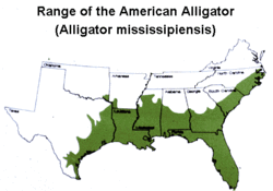 Ameerika alligaatori levila