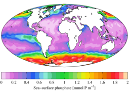 Annual mean sea surface phosphate (WOA 2009)