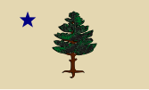 1901 Flag of Maine