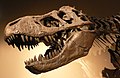 Tiranosaurus - dituntaskan 18 September 2018