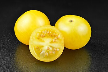 Des tomates cerises jaunes. (définition réelle 6 000 × 4 000)