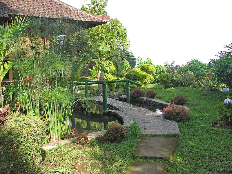 File:Jardin de Puri Lumbung Cottages (Munduk) - panoramio - Eric Bajart.jpg