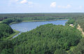 Kapčiamiesčio giria ir Kauknorėlis