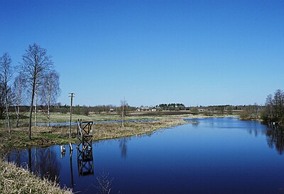 Ahja jõgi Läänistel 2008