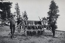 Bức ảnh cũ của những người câu cá với rất nhiều cá từ Hồ Yellowstone