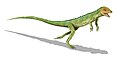 Eudibamus (Bolosauridae)