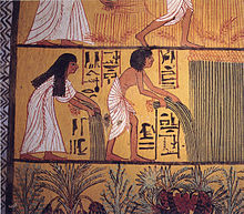 白い麻の服を着た2人の黒髪のエジプト人農民が畑に立ちカミガヤツリを収穫している。下部には緑の植物のモチーフが、上部には農作業の別の場面の一部分が見えている。