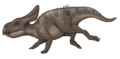 Протоцератопс — представник родини протоцератопсидів. Ця родина була предком родини Цератопсидів.